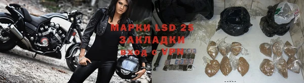 spice Лагань