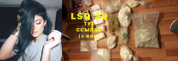 индика Липки