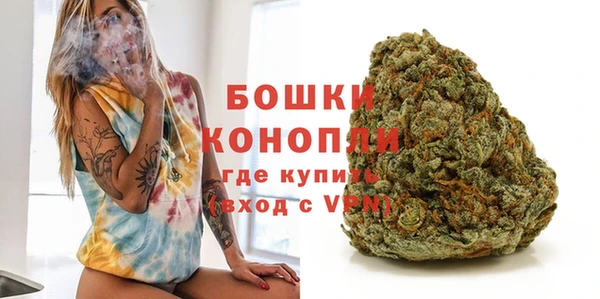 spice Лагань