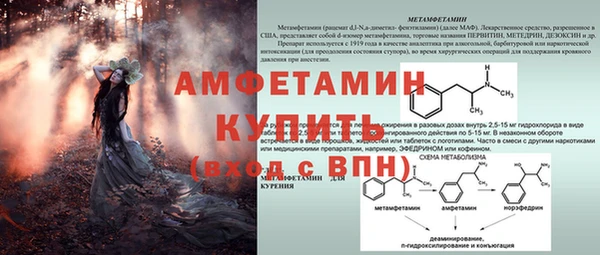 индика Липки